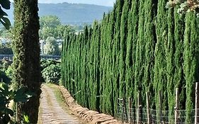 Camugnano farm